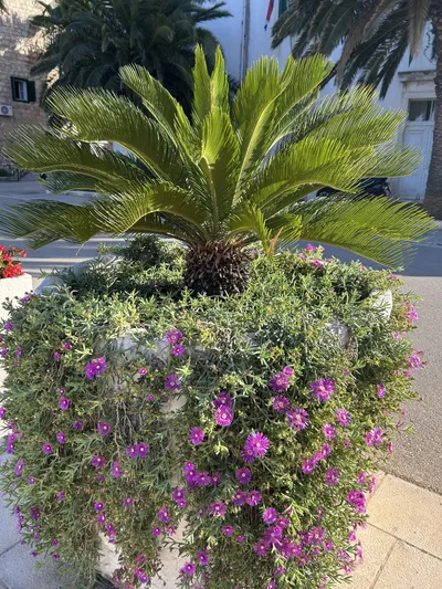 Vitorlázás a Balatonon és Adrián